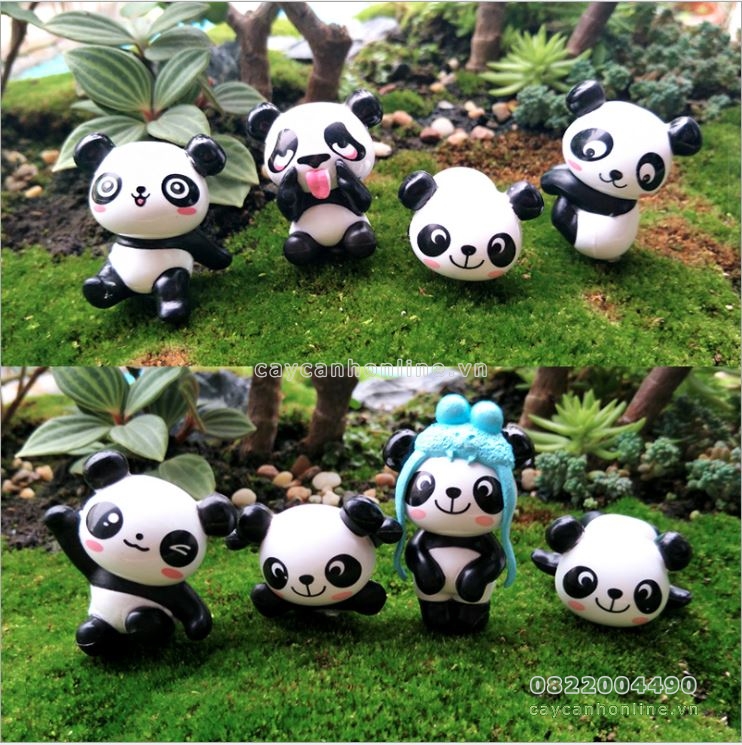 Gấu trúc panda tinh nghịch