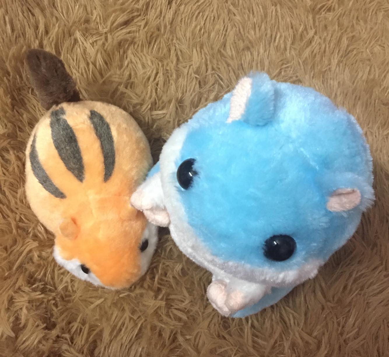 [HCM]Gấu bông chuột lang hamster dễ thương