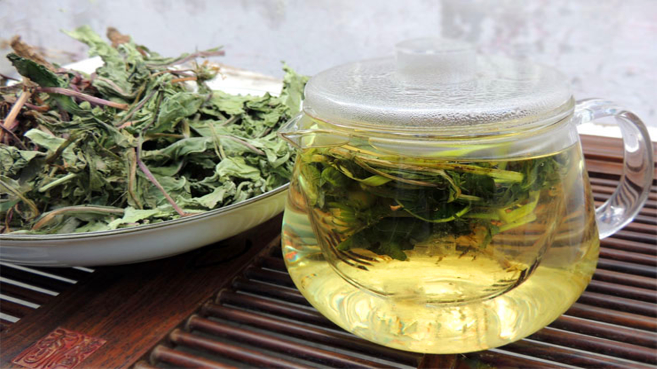 Lá Bồ Công Anh Sấy Khô