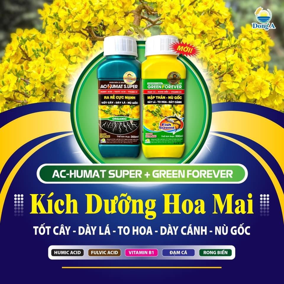 PHÂN BÓN RA RỄ MẬP THÂN NÙ GỐC MAI CẶP CHAI 300ML