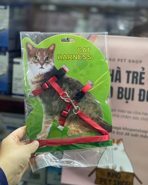 Dây dắt kèm đai cho mèo