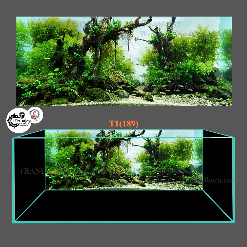 [Tặng Đồ Dán+Sticker] Tranh 3D dán bể cá cảnh hồ thuỷ sinh