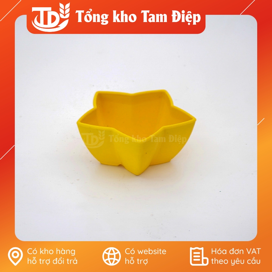 Chậu nhựa mini hình sao đủ màu