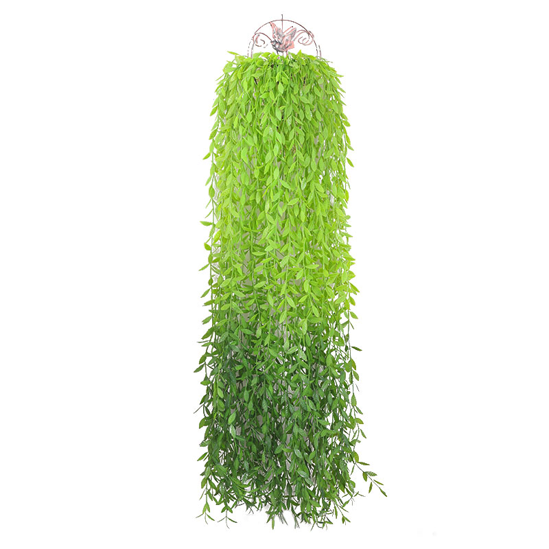Cành rủ cúc tần 5 nhánh-Cành giả