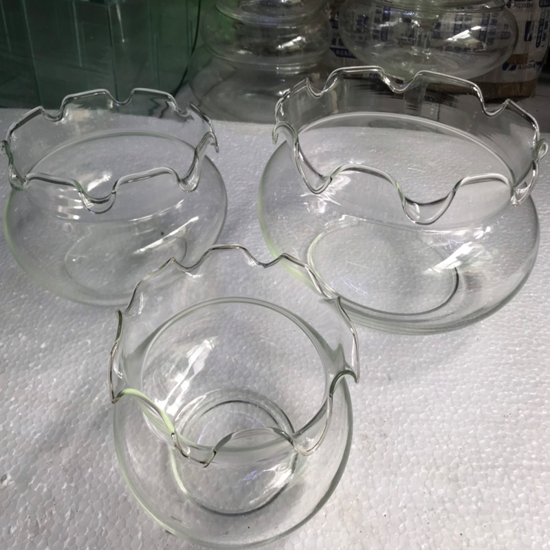 Bể cá mini - chậu cá để bàn -B17 bể cá tròn