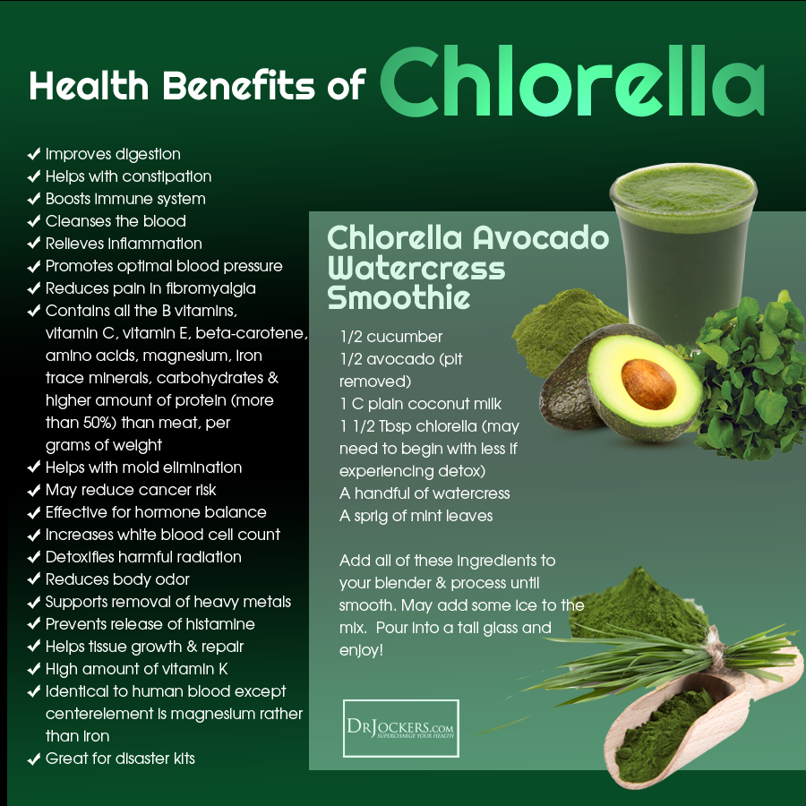 Bột tảo lục chlorella hữu cơ Ba Lan 200g
