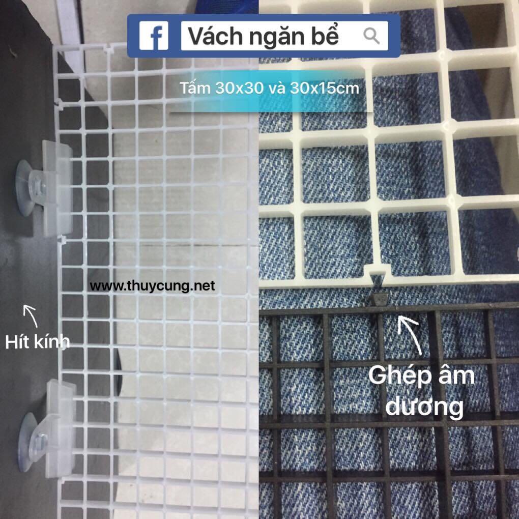 Tấm vách ngăn bể 30x30cm mầu trắng