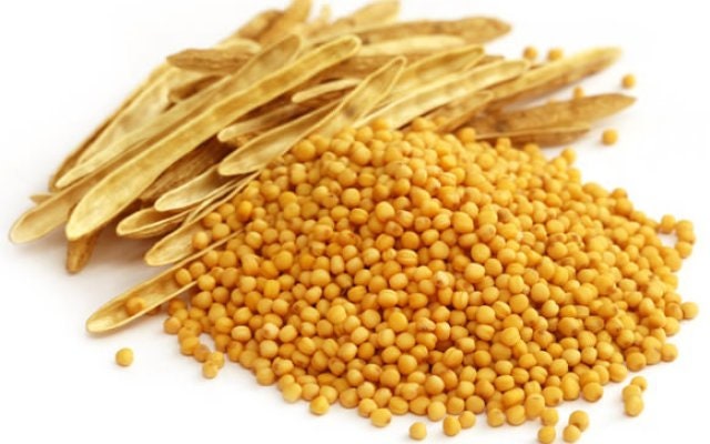 Mustard Seeds yellow - Hạt Mù Tạt vàng (200g)