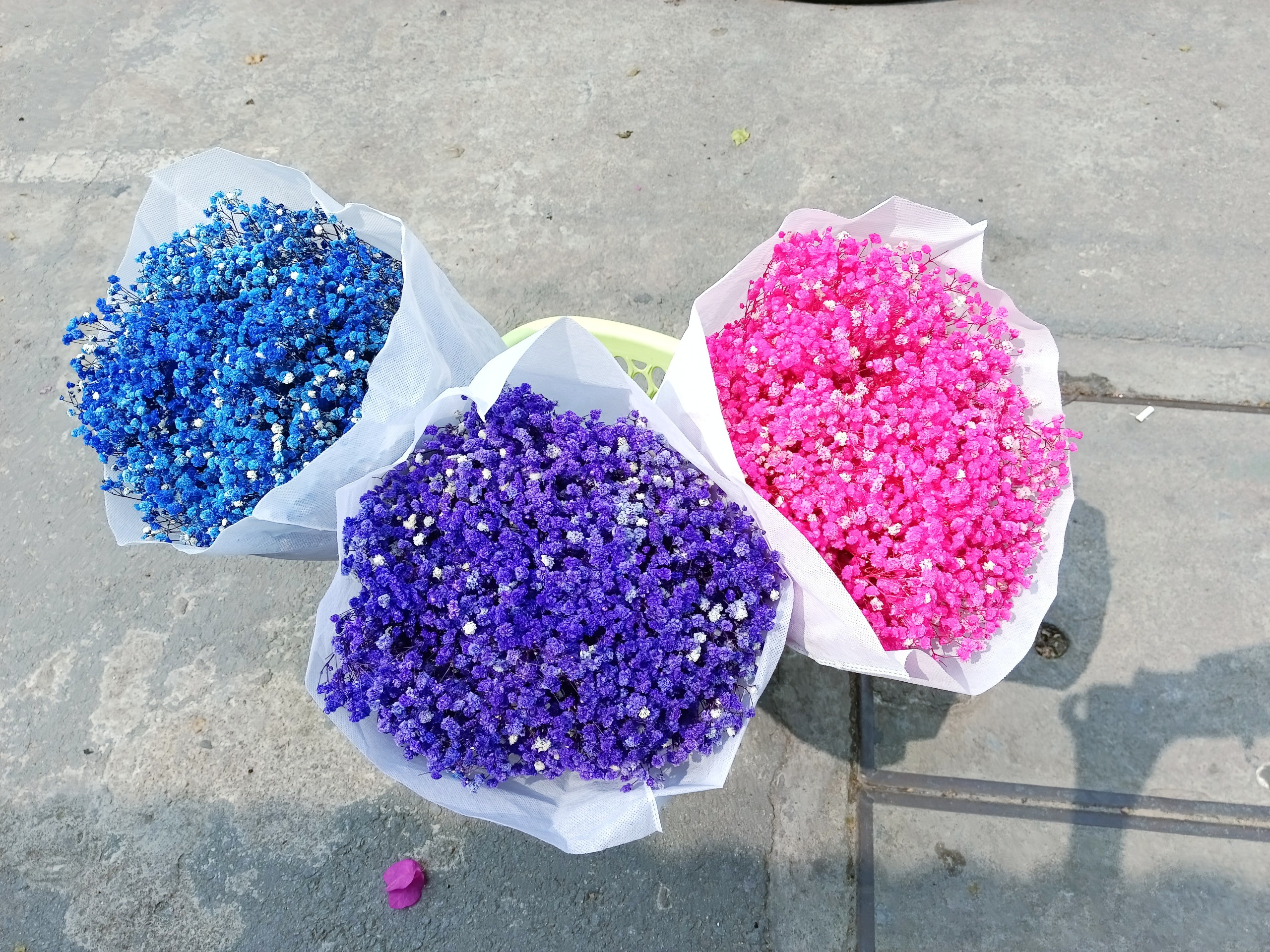 hoa khô - bó hoa baby - 45g