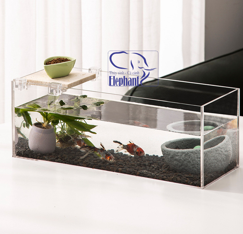 Kẹp Giữ, Giá Đỡ Nắp Bể Cá Cảnh