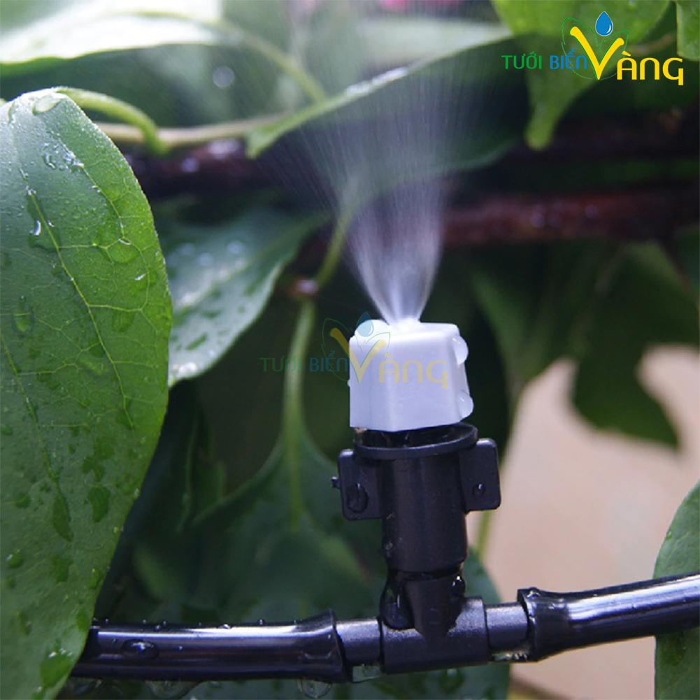 10 mét dây 6mm màu đen chống rêu