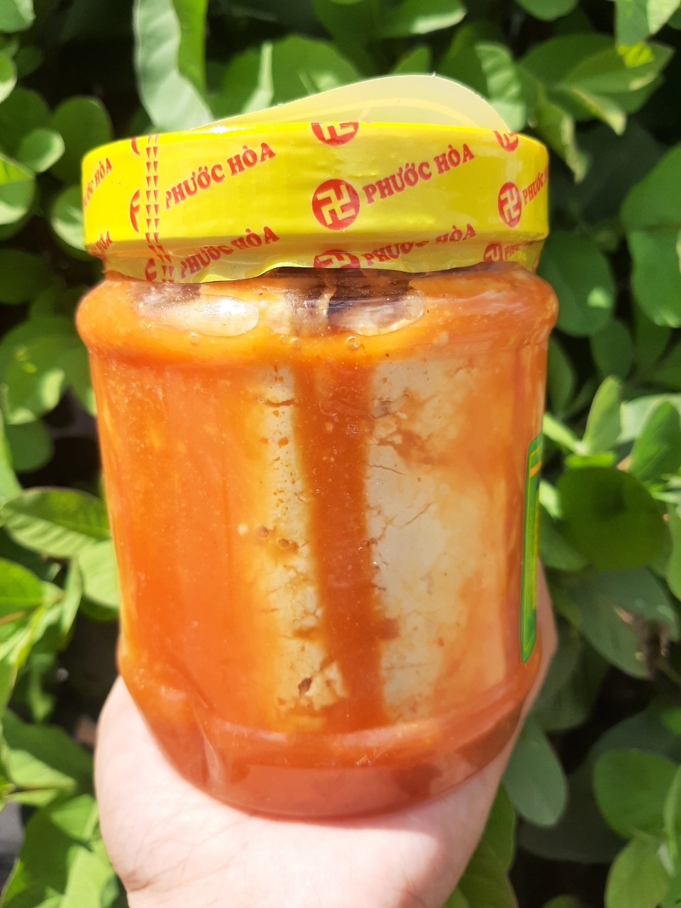 Chao môn béo Phước Hòa 800g - Đặc sản Vĩnh Long