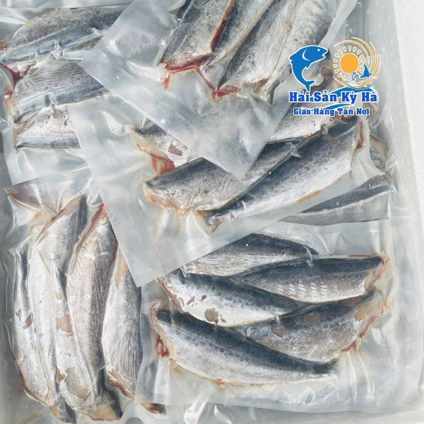 [GIAO NHANH 2H HCM] Giá sỉ 1 Kg Cá Thu Ảo 1 Nắng