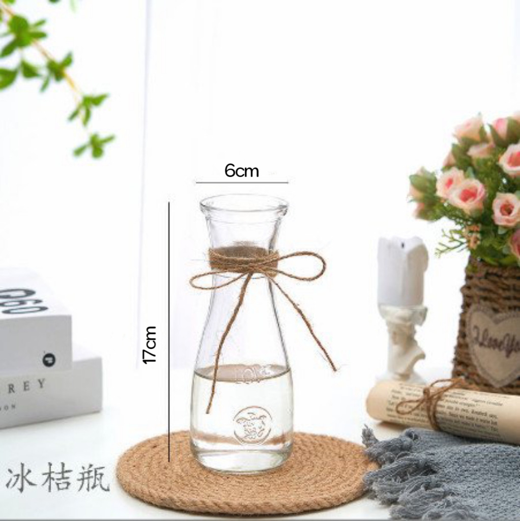 Bình thuỷ tinh cắm hoa decor