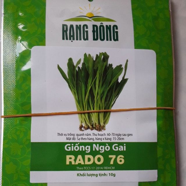Hạt Giống Ngò Gai Rạng Đông 10Gram