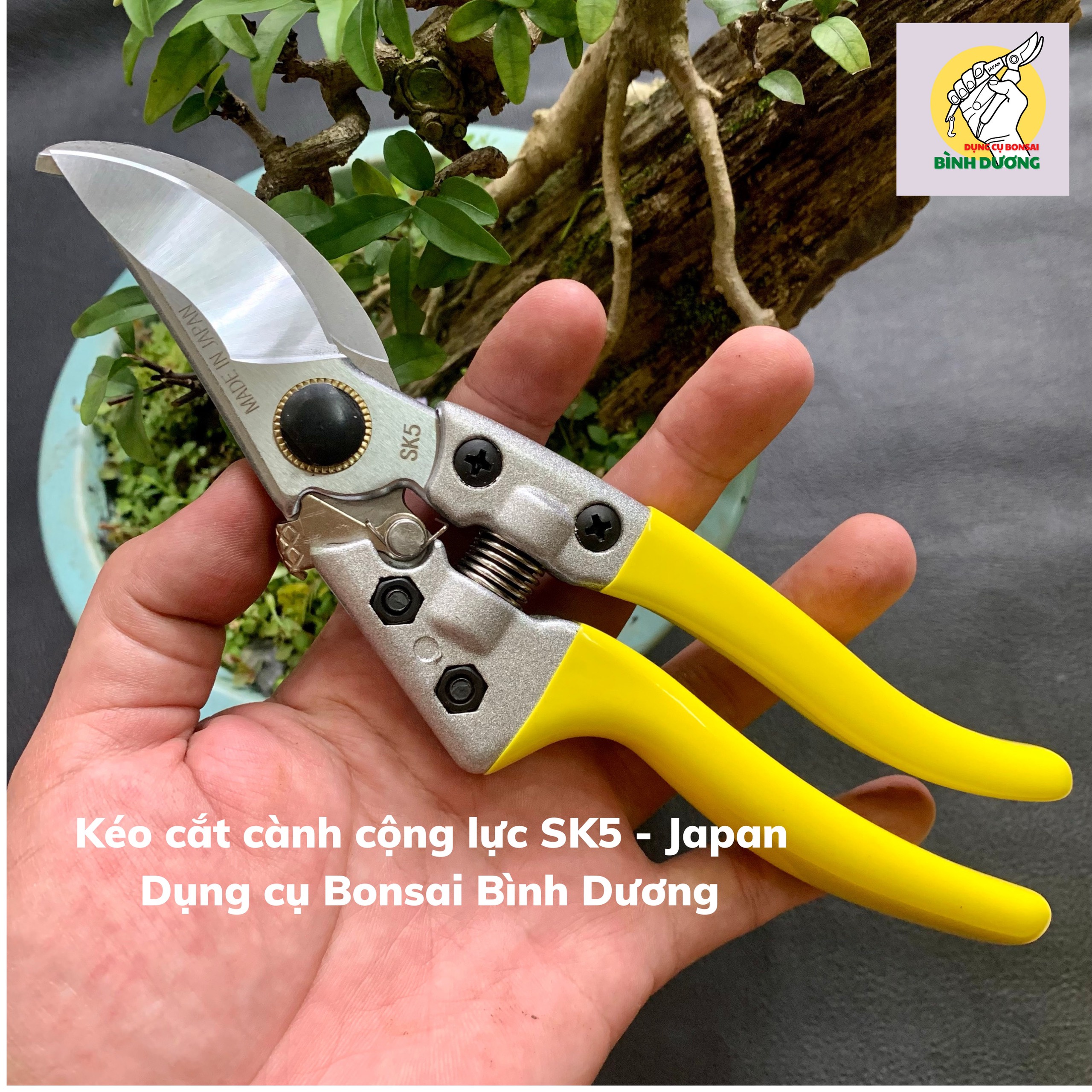 KÉO CẮT CÀNH CỘNG LỰC YOKOHAMA JAPAN – SK5 (CHÍNH HÃNG) CẮT CÀNH CÂY CẢNH BONSAI