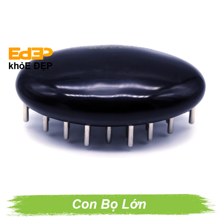 Big Beetle brush massage head brush-diagnosis instrument (electric root skin massage accessories trigger point recommended) chuanbuy gda170