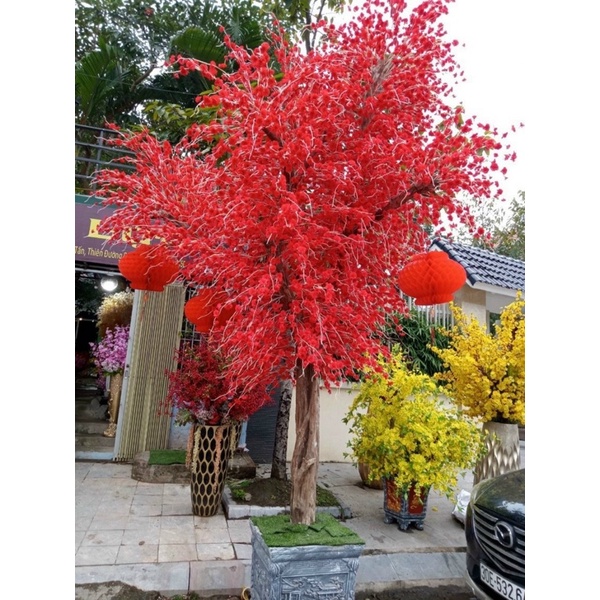 Cành Đào Râu Dài 1m Lụa cao Cấp, Hoa Anh Đào 034