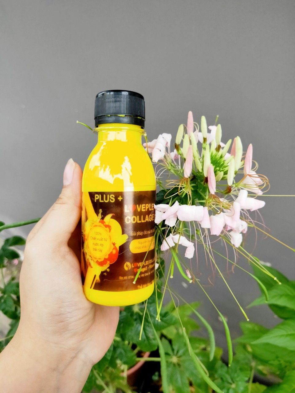 phục hồi tóc collagen men sống