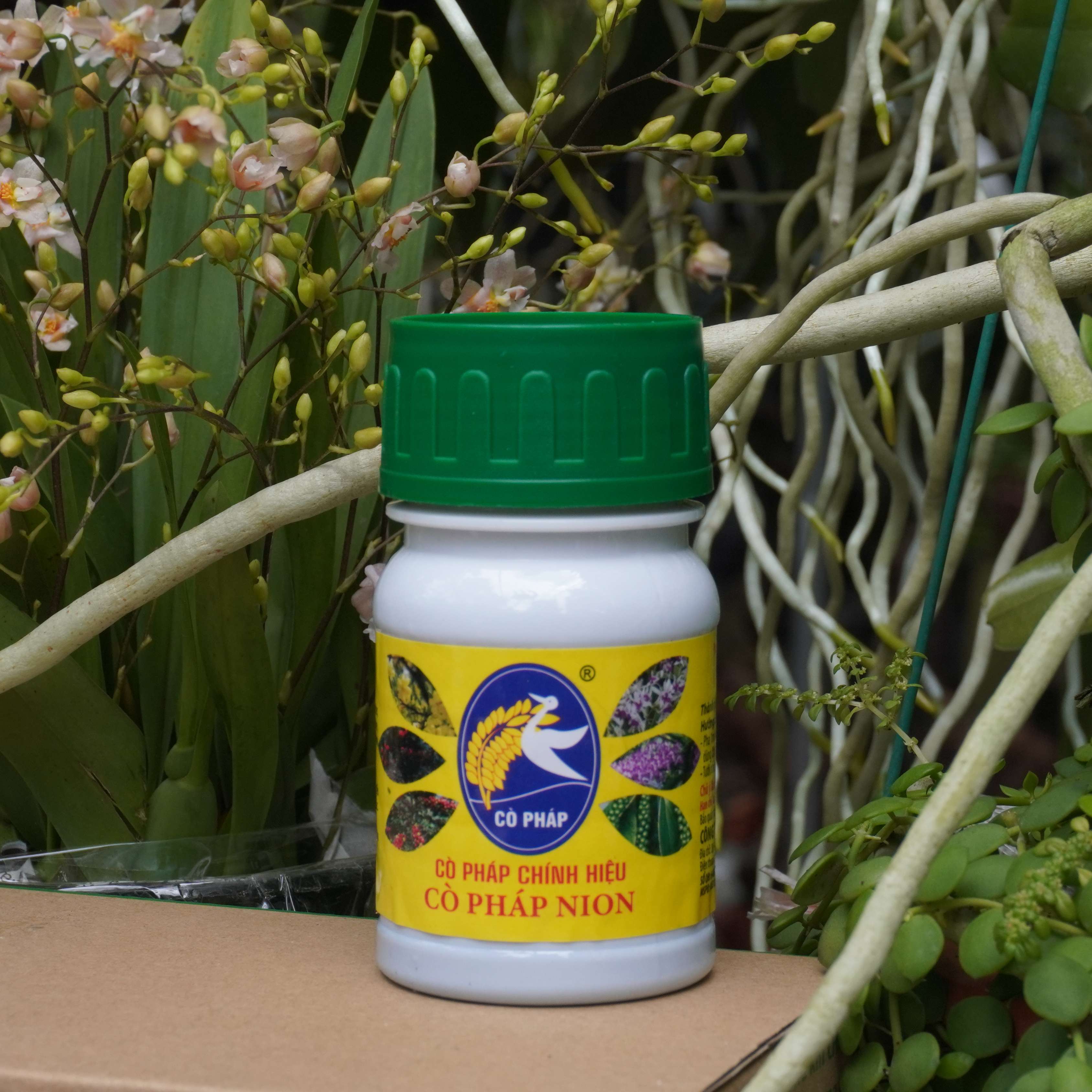 Phân Bón Protein++ Đạm Dinh Dưỡng Hữu Cơ Dành Cho Cây Lan