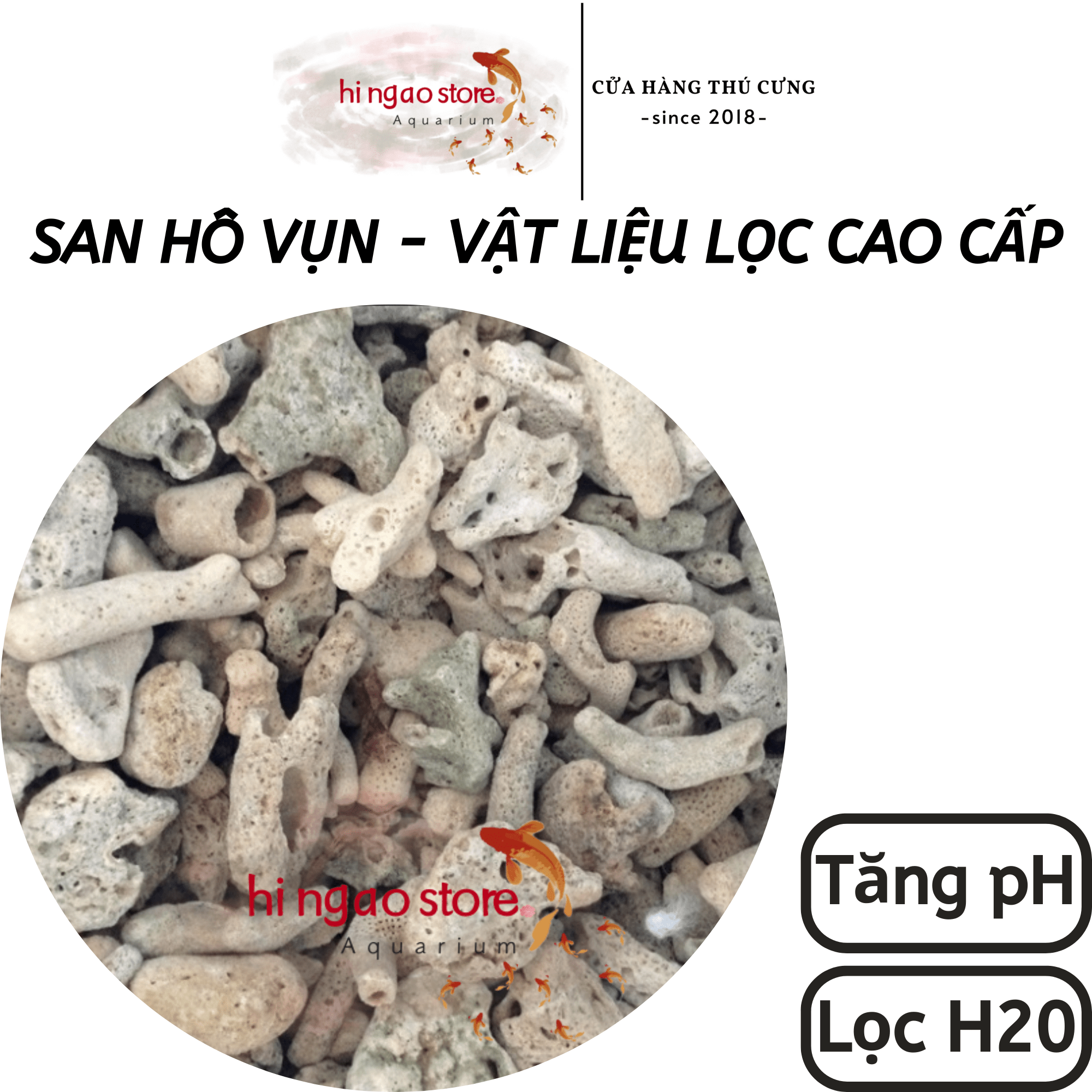 Scrap coral (pH booster)-premium filter material | hinged aostore.