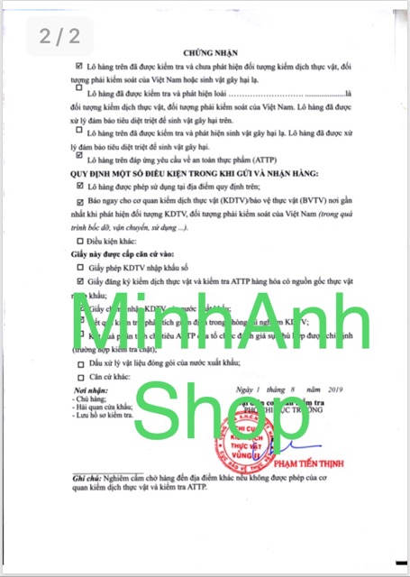 1kg Nhân hạt hướng dương sống Canada