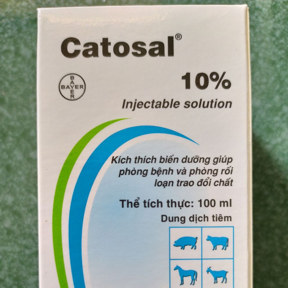 CATOSAL 10% CHAI 100ML