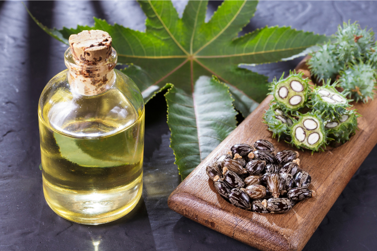 [HCM]Dầu Thầu Dầu Đen ( Castor Oil) Mọc Lông Mày Lông Mi 10ml