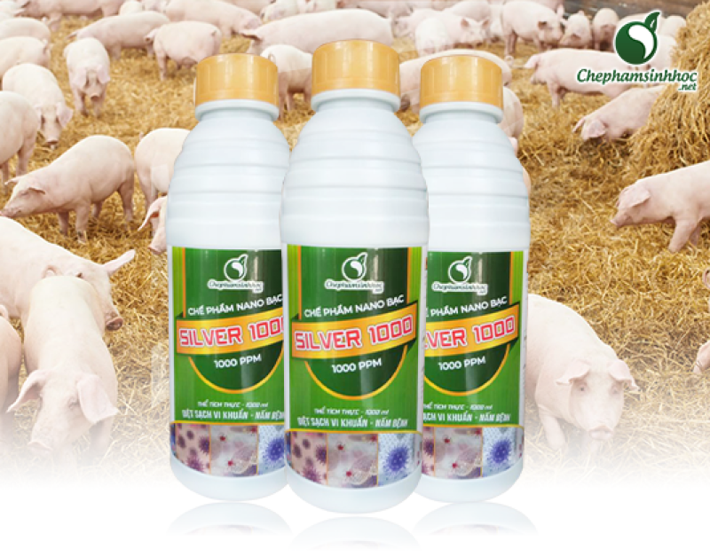 Nano Bạc Silver 1000 - Khử Trùng, Sát Khuẩn An Toàn trong chăn nuôi