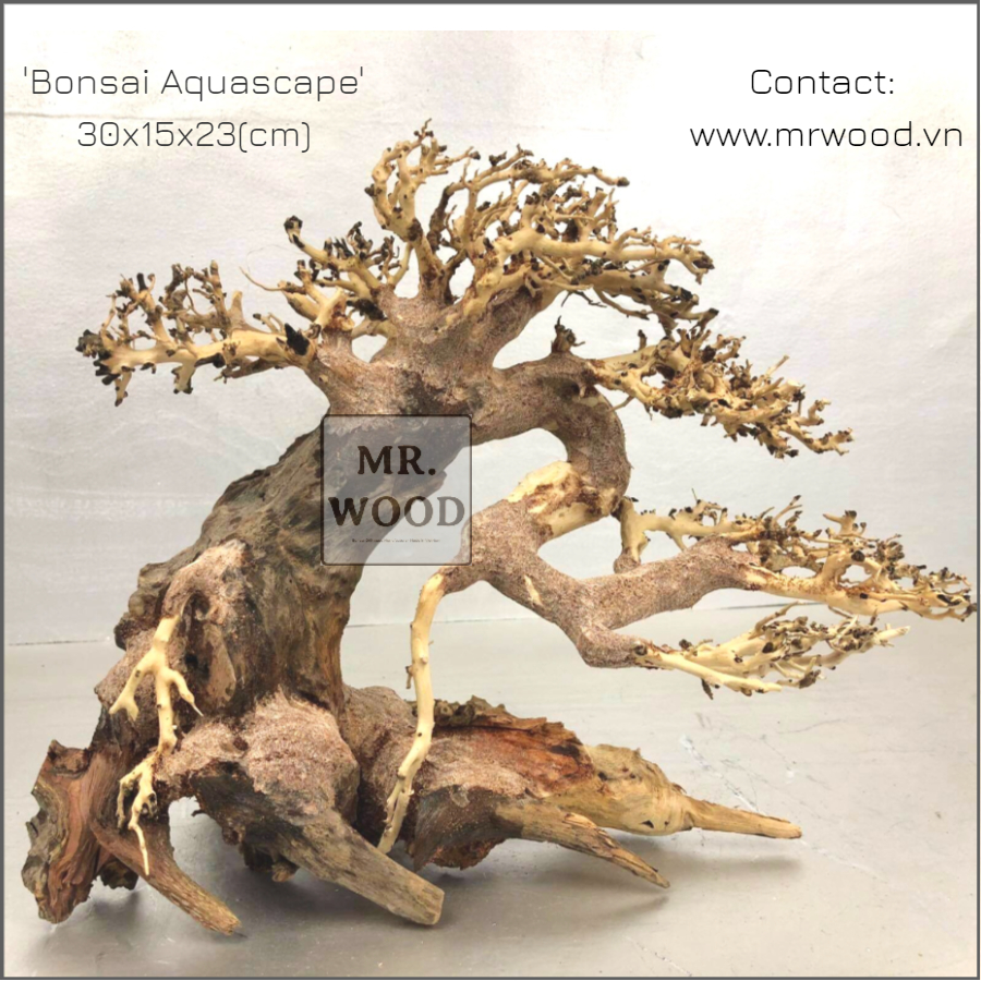 Lũa Bonsai Đế Đá cho Hồ Thủy Sinh - Cao 23 dài 30 cm