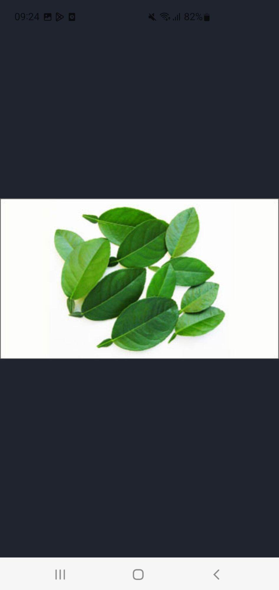 100gr Lá chanh ( tươi)