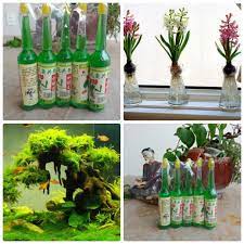 Combo 10 lọ dung dịch thuỷ canh cho hoa, cây cảnh