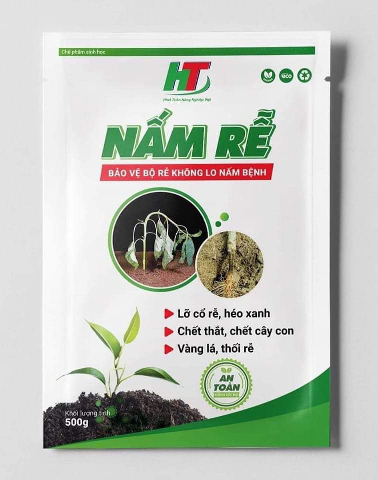 NẤM RỄ – XỬ LÝ NẤM BỆNH TRONG ĐẤT