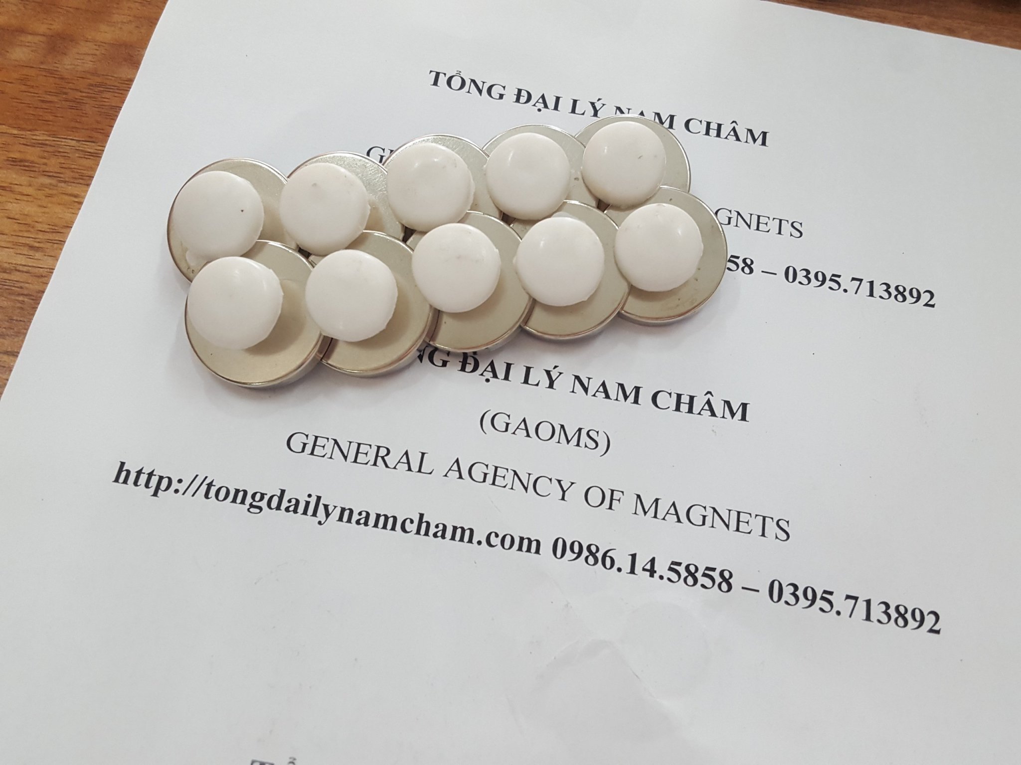 Nam châm đính bảng D32, có núm trắng- 10 cái