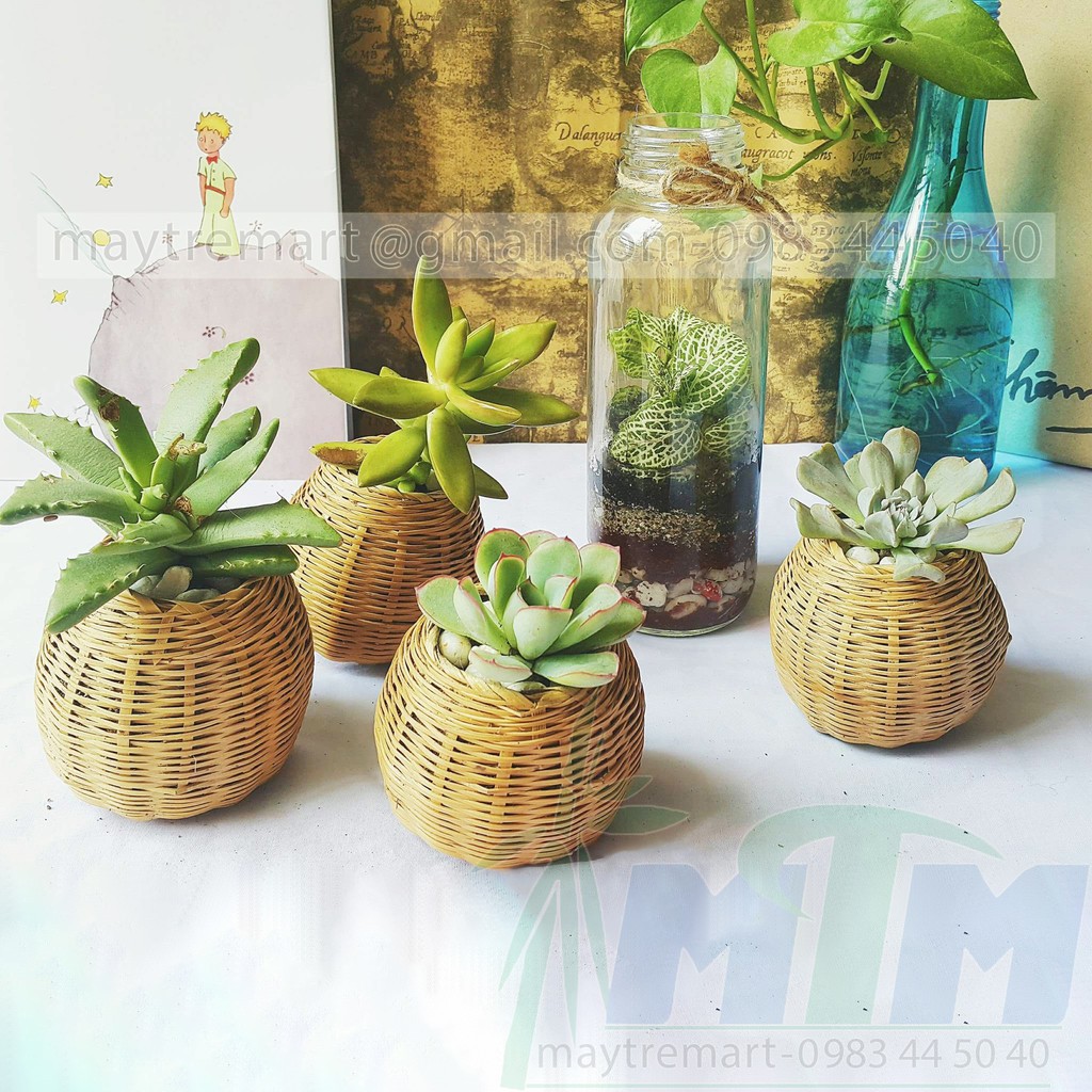 Giỏ tre cắm hoa hũ thóc nhí