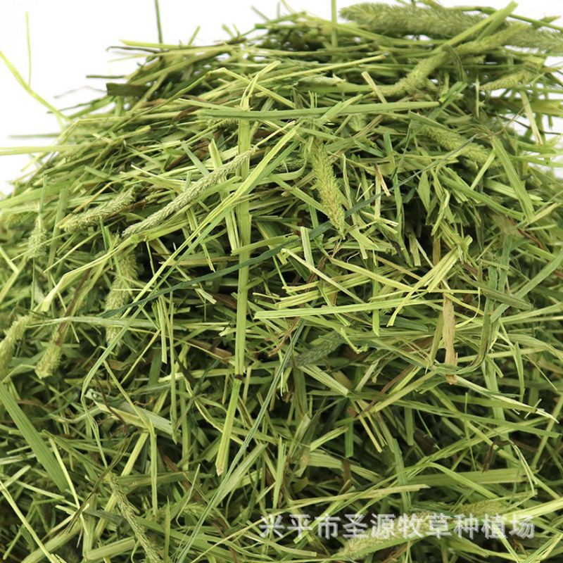Bag 100 gr grass Timothy for rabbit, beetle peek, Guinea…