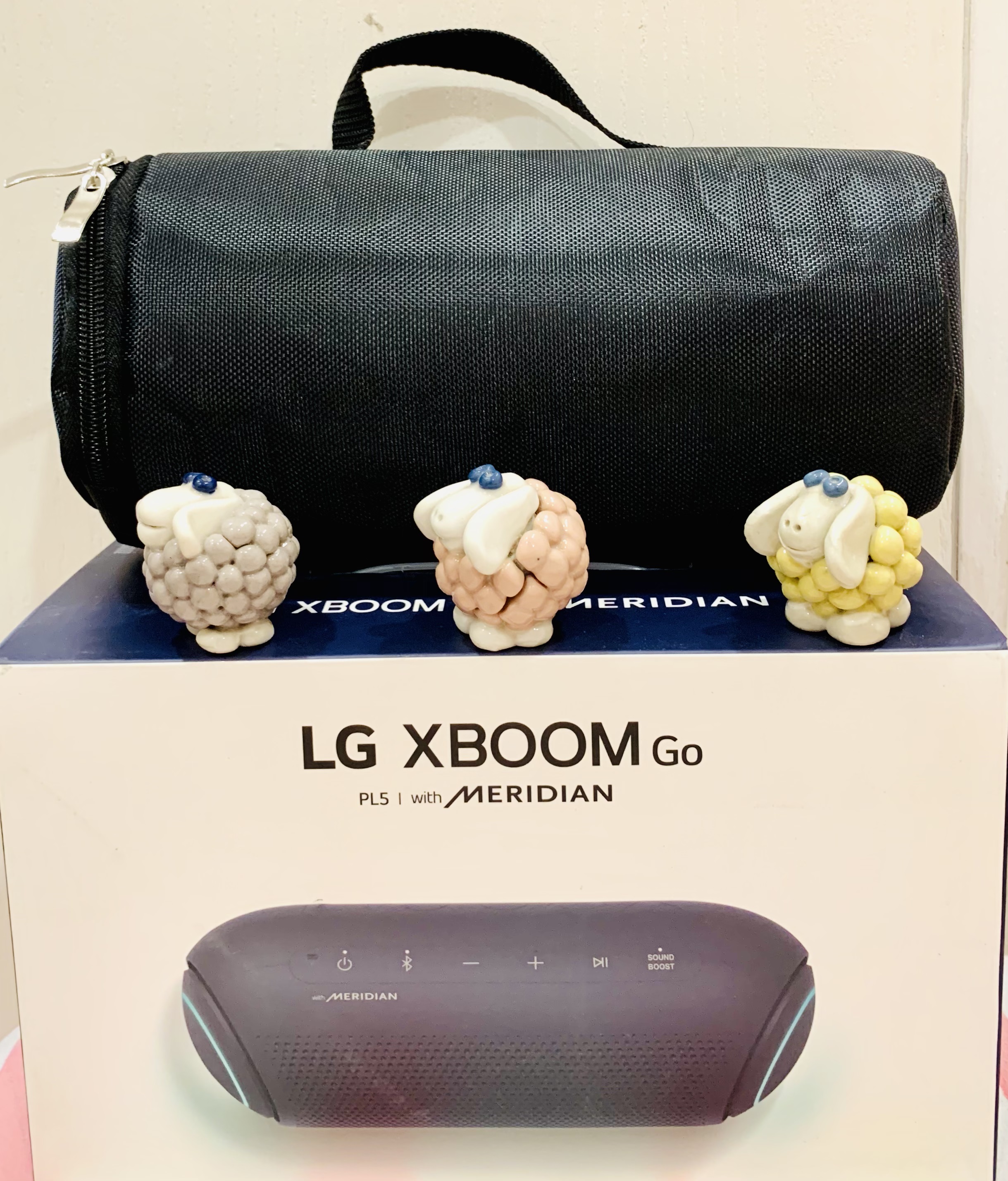 Túi đựng loa LG Xboom PL5