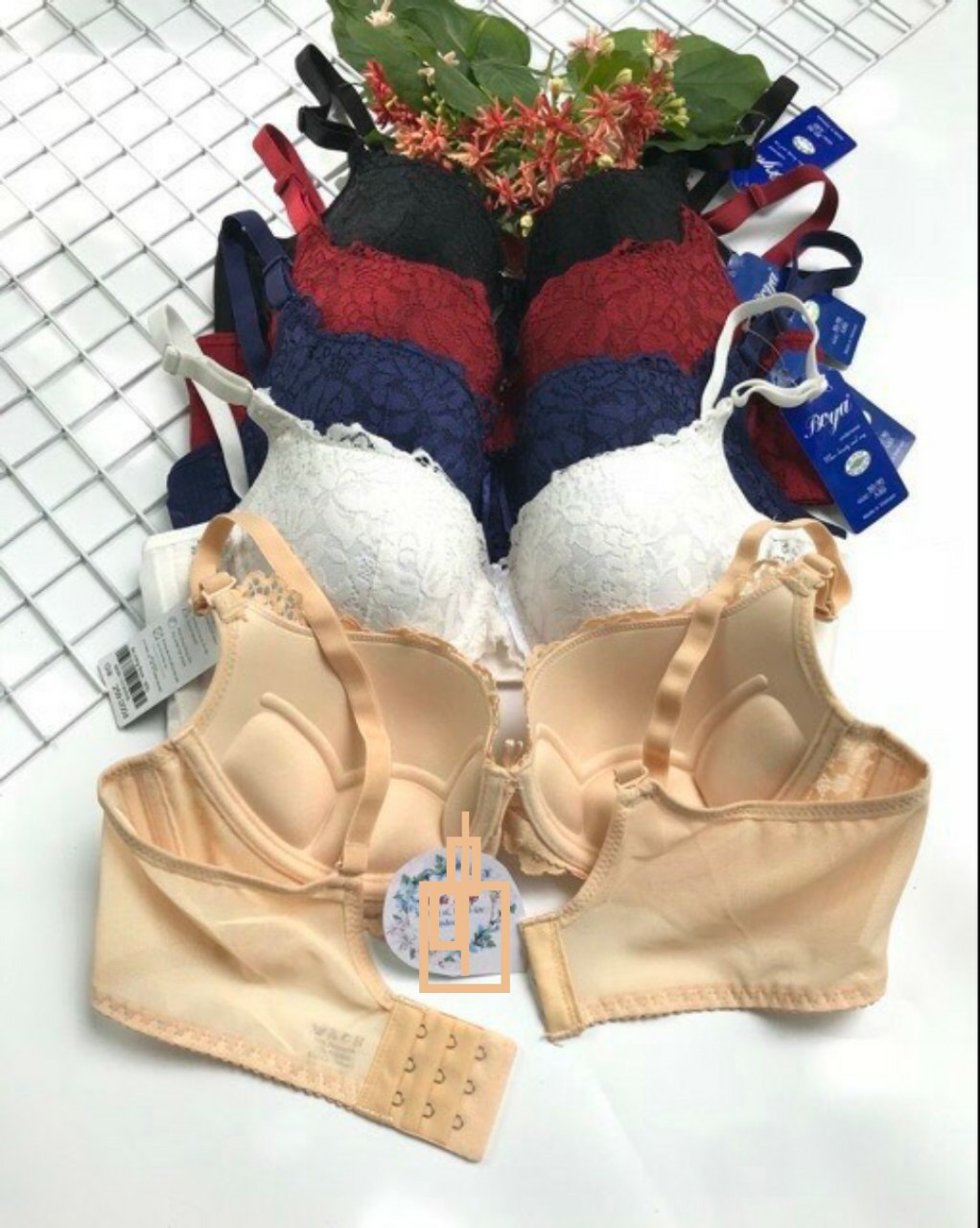 ÁO NGỰC BOYA ĐỨC BẢN LƯNG TO MÃ-003L-My Loan 42