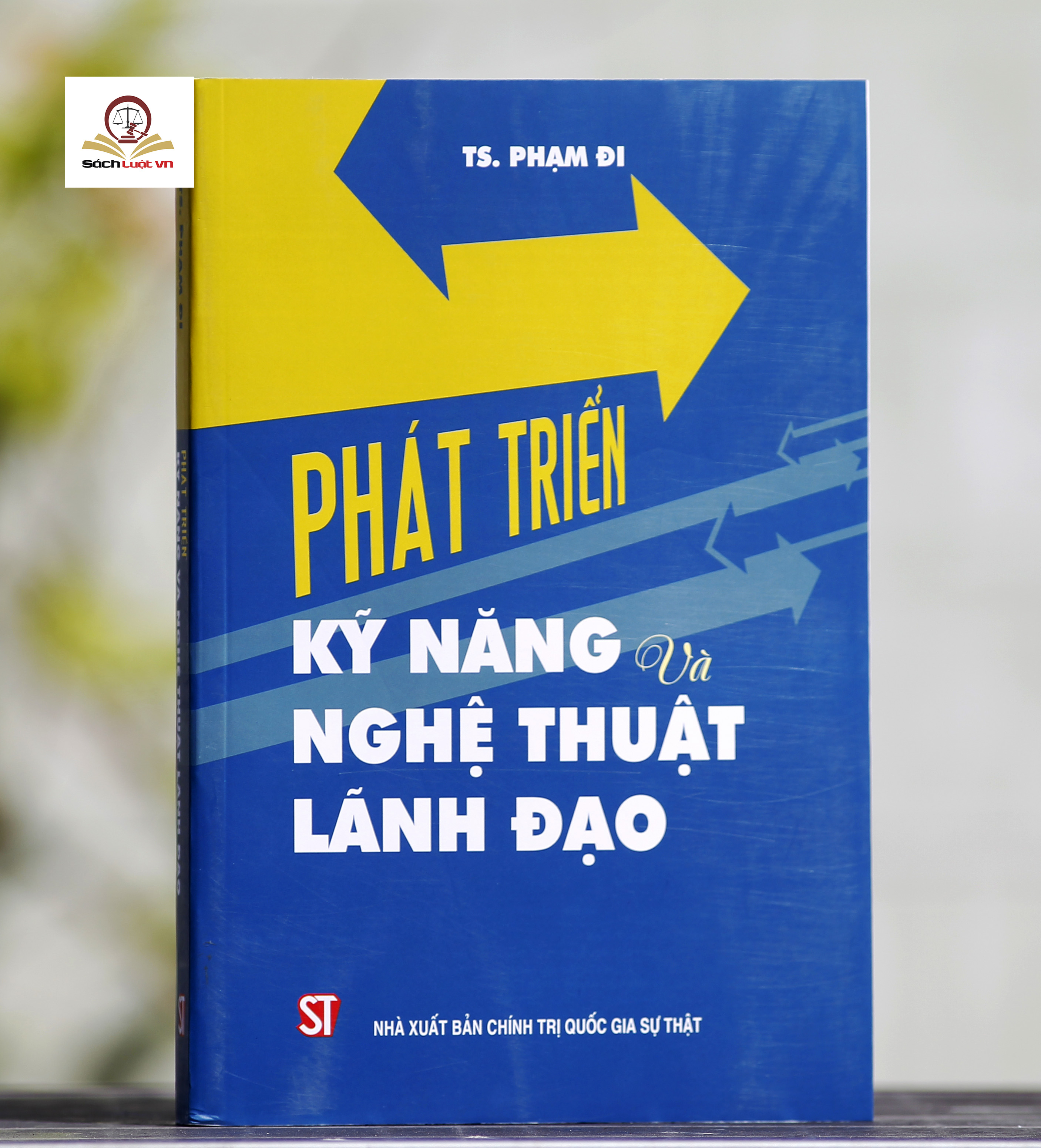 Phát Triển Kỹ Năng Và Nghệ Thuật Lãnh Đạo