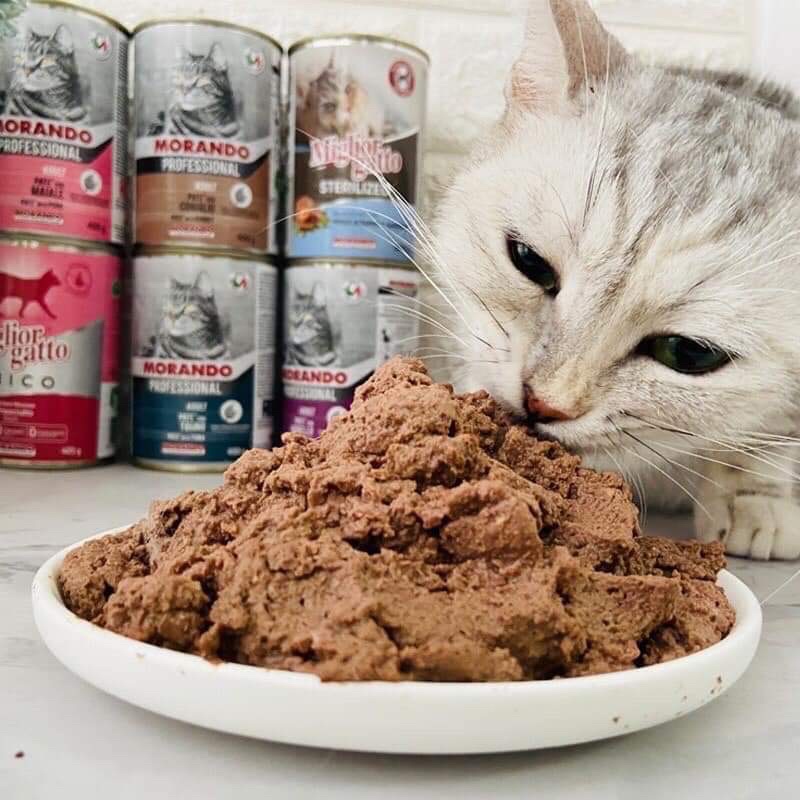 Pate Mèo Morando Miglior Gatto Lon 400g Từ Ý