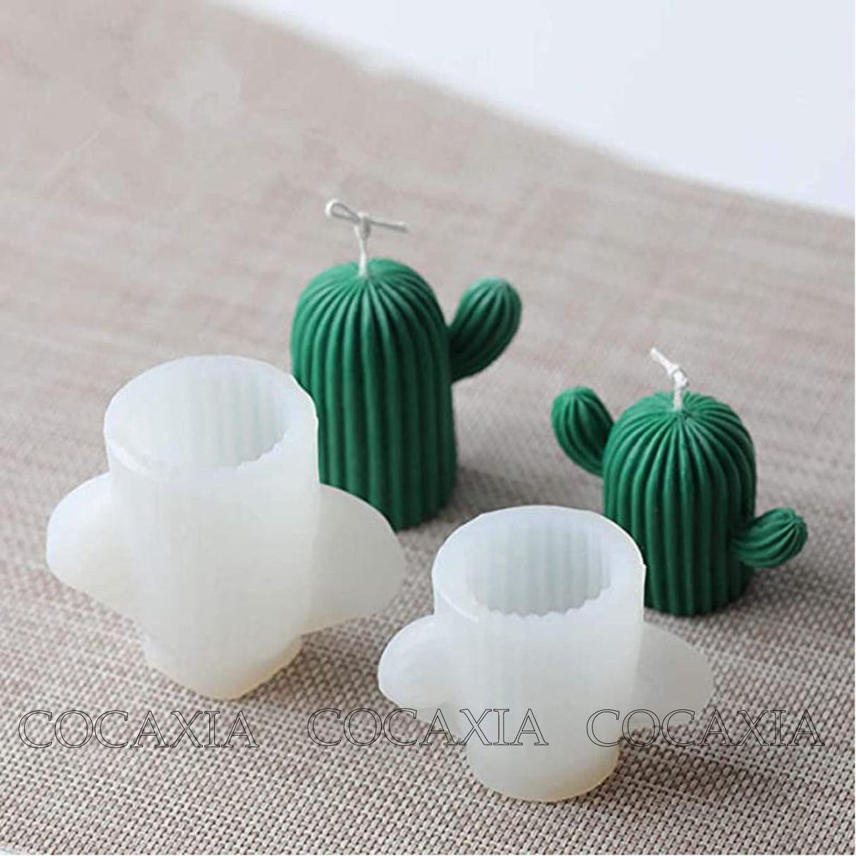 Khuôn Silicon Hình Cây Xương Rồng