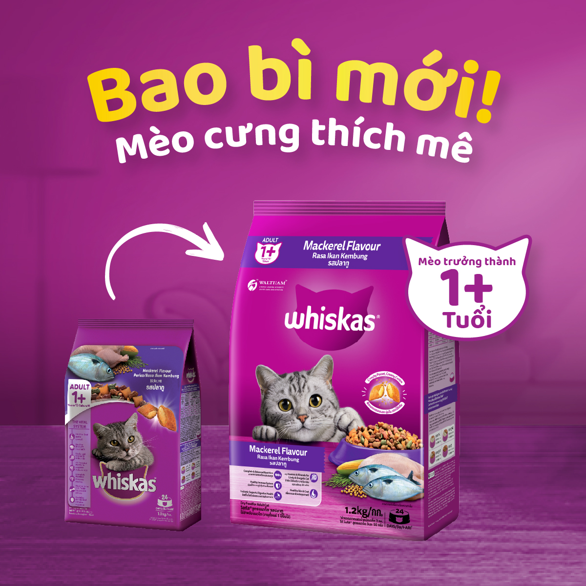 [Quà tặng không bán] Thức ăn mèo Whiskas vị cá thu túi 480g