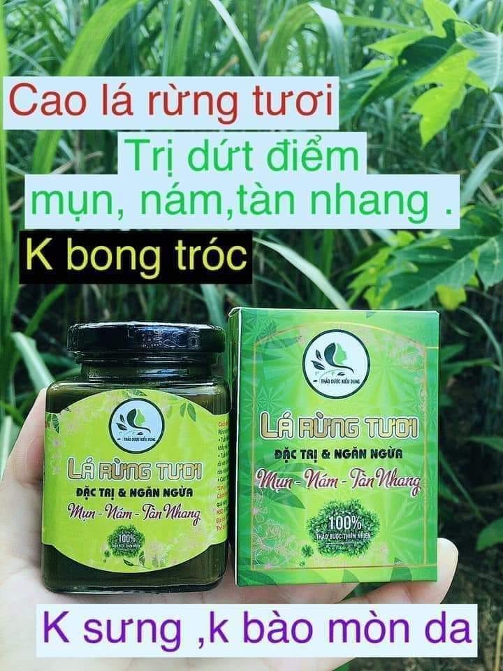 Cao Lá Rừng Tươi