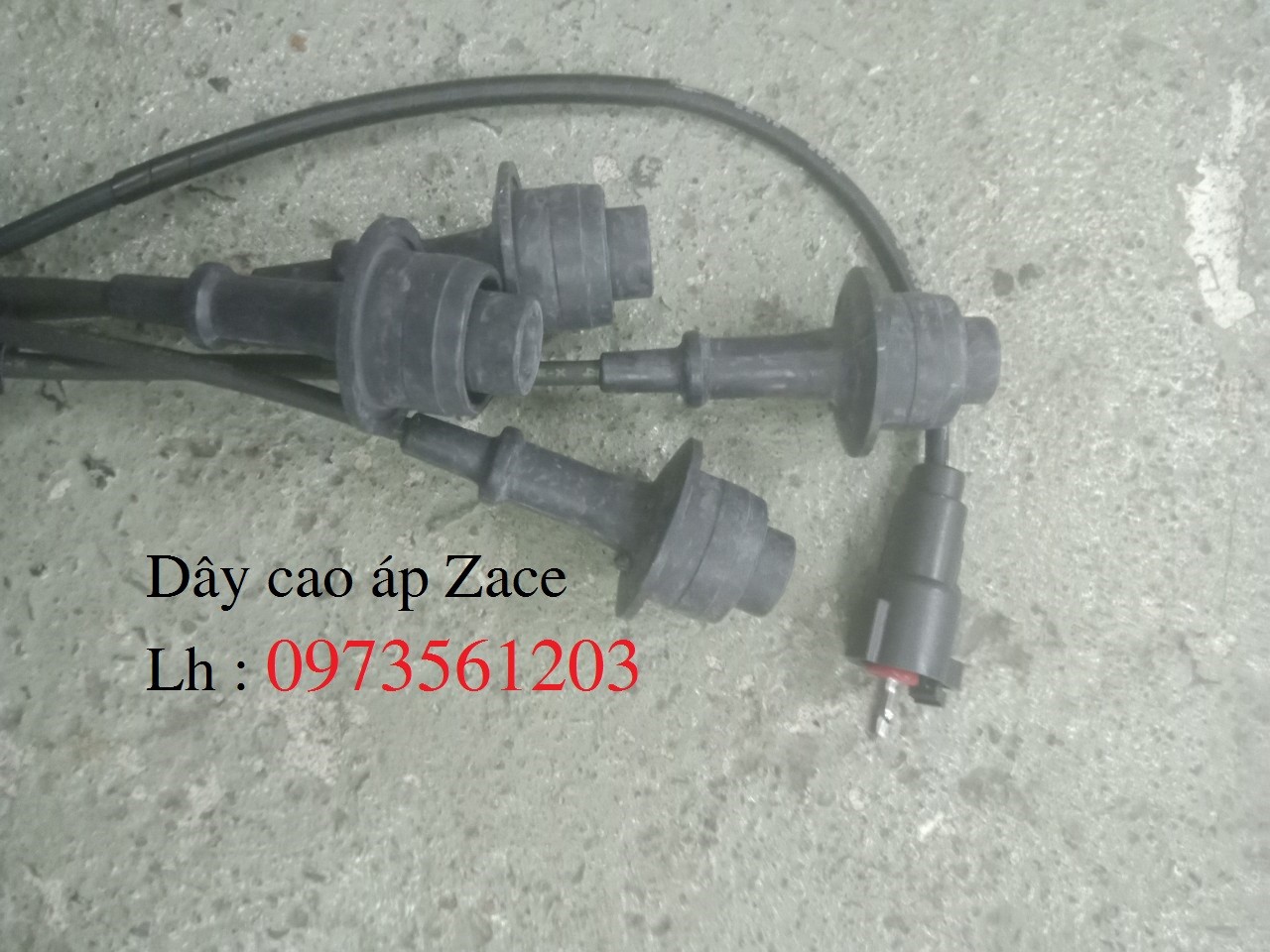 Dây cao áp Zace