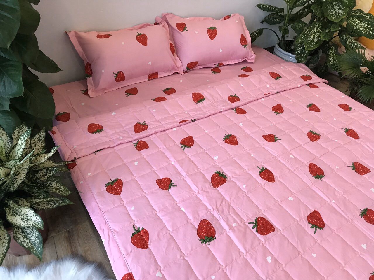 Set Ga Gối Poly ( tặng kèm áo gối ôm ) Mẫu  Dâu Tây
