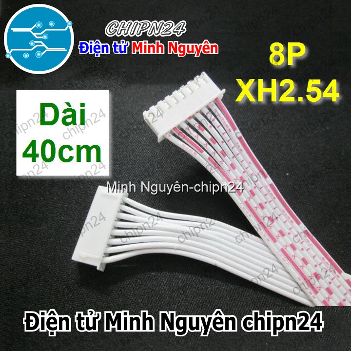 [1 sợi] (P41) Dây bẹ trắng 8P XH2.54mm 2 đầu cắm dài 40cm - HH000901