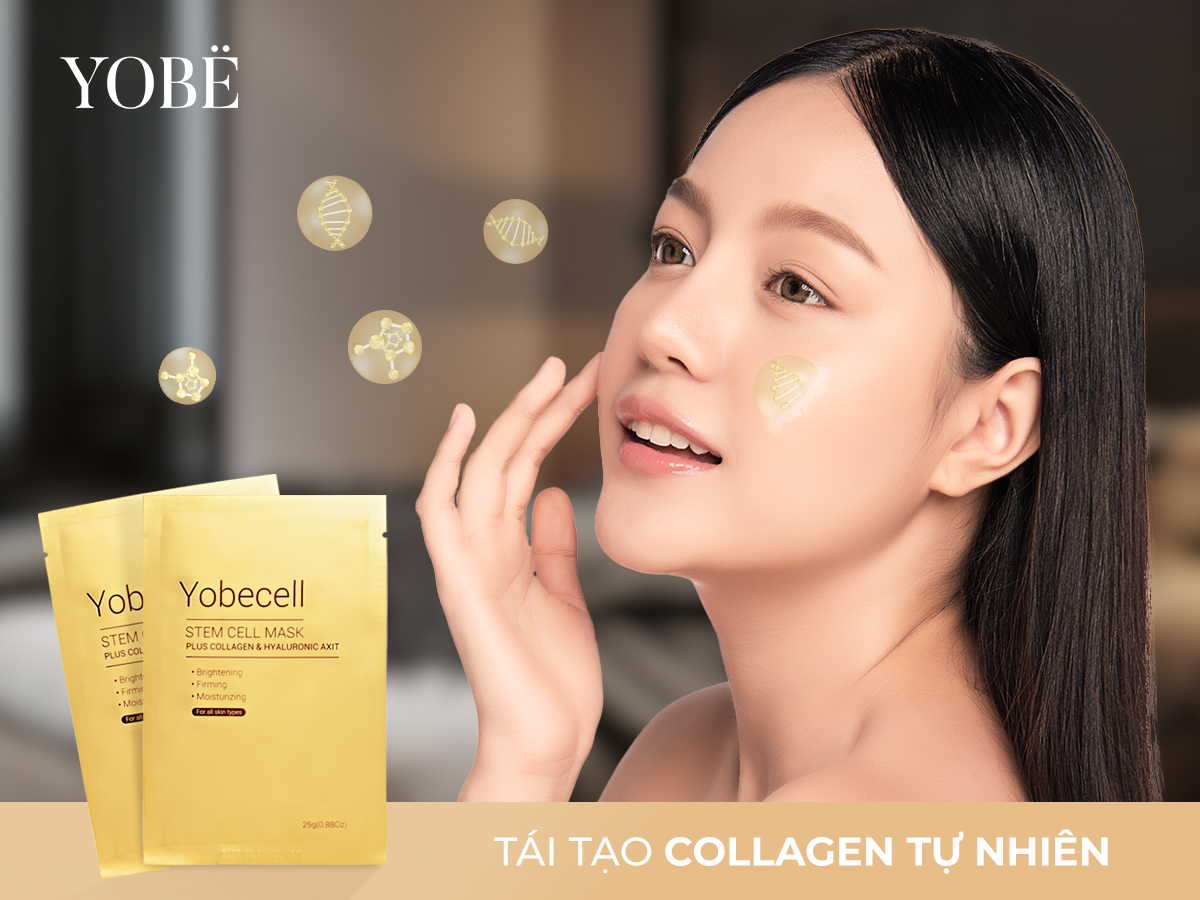 MẶT NẠ TẾ BÀO GỐC YOBECELL