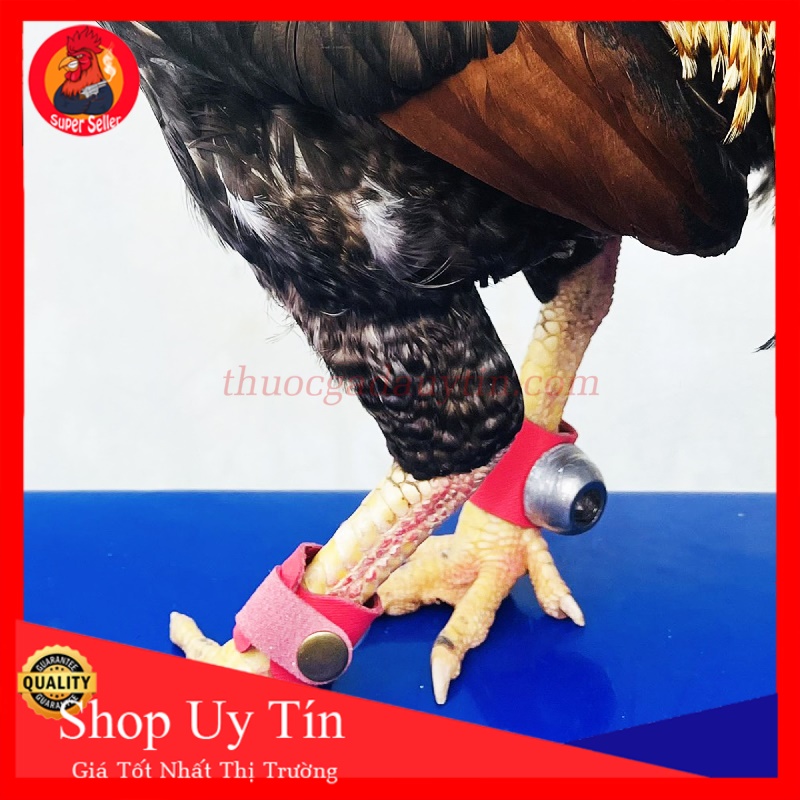 Tạ Chì Đeo Chân Gà Tre-Săn Cơ Giảm Mỡ