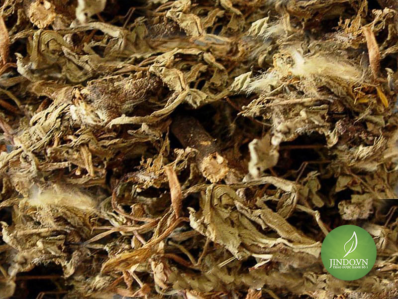Bồ công anh 100gram lọa thượng hạng - LV076