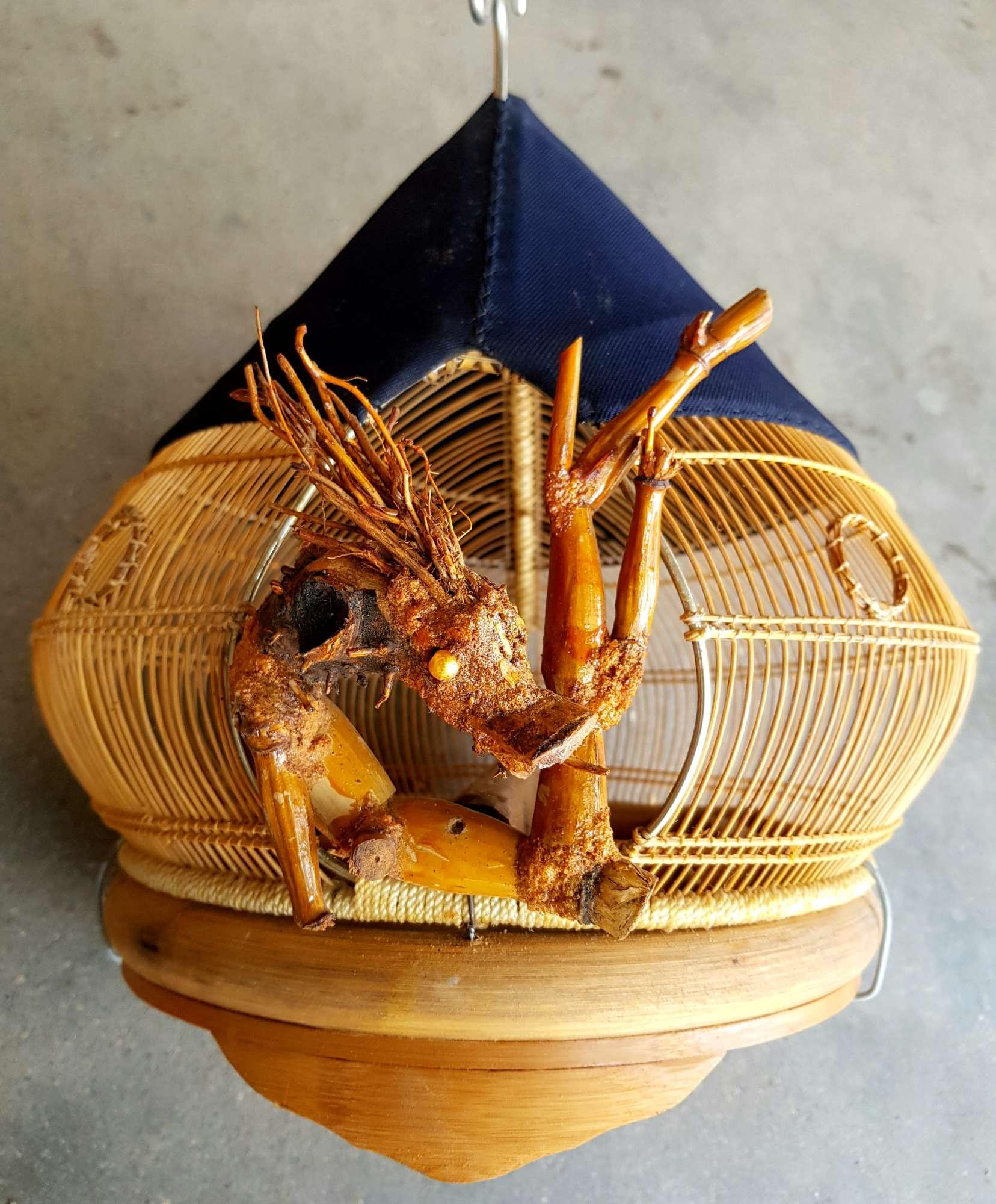 Lồng nuôi chim cu gáy - hàng đẹp